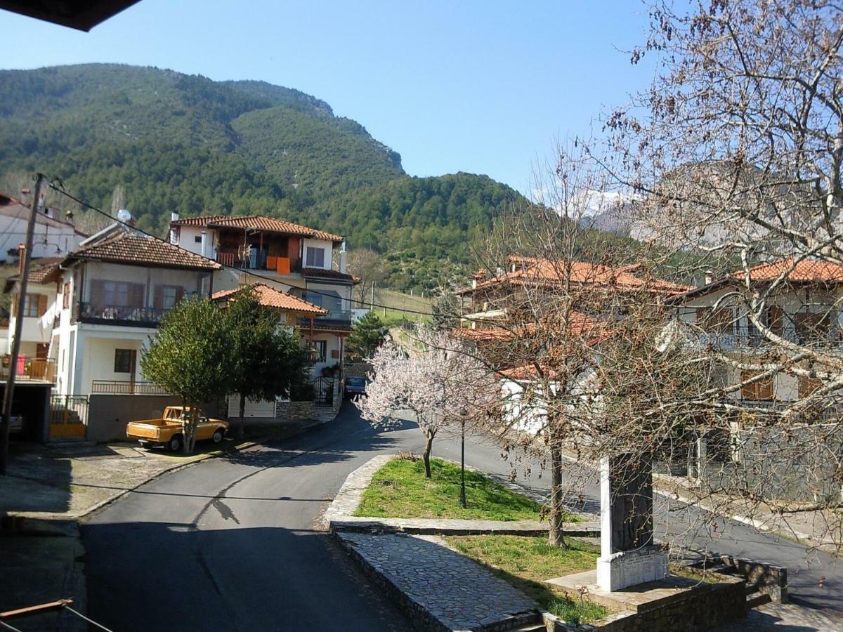 Apartment With View At Olympus Mountain
